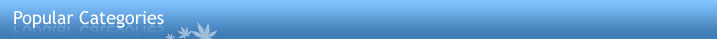 Popular Categories