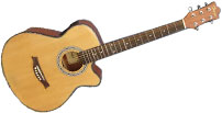 Electro Acoustic Guitars