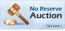 No Reserve Auction