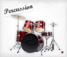 Click to Shop Percussion