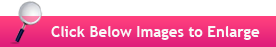 Click to Enlarge