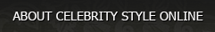 About Celebrity Style  Online