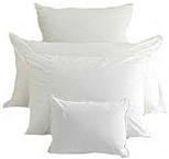 Click to Shop Pillows