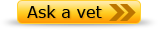 Click here to ask a vet