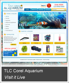 Portfolio 01 Click here to visit this store live