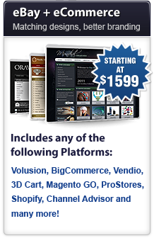 eBay Stores plus eCommerce Stores - Matching design, better branding