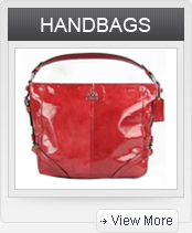 Click to Shop HANDBAGS