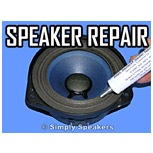 Click to Shop Speaker Repair