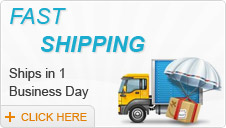 Fast Shipping in 1 Business Day - Click Here