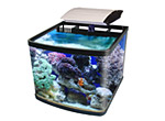 Aquariums