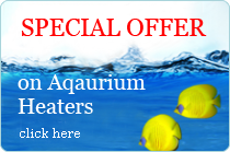 Special Offer on Aquarium Heaters - Click Here