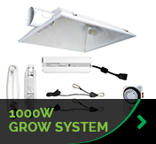 100W Grow System