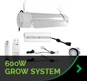 600W Grow System